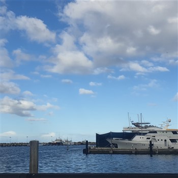 Whale Watching in Perth 2026