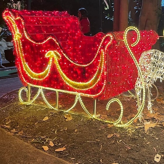 Waneroo Christmas Lights