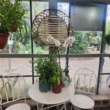 Nursery Shopping Tour