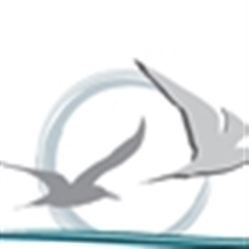 The Great Lunch Date September, Mia Cucina